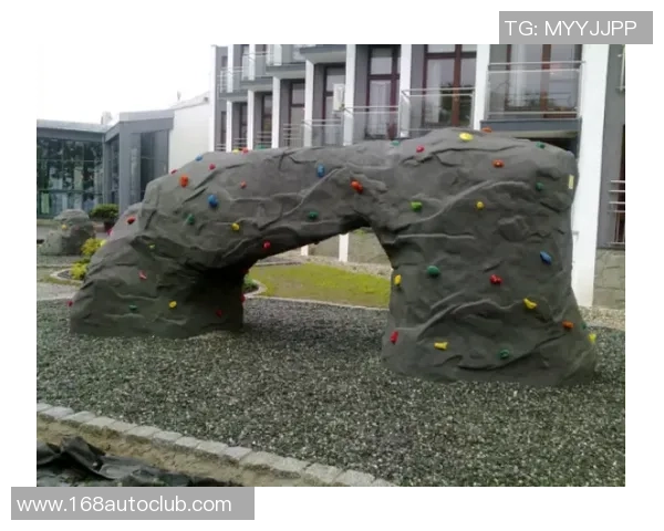 上海攀岩队心理素质分析与表现评估研究报告