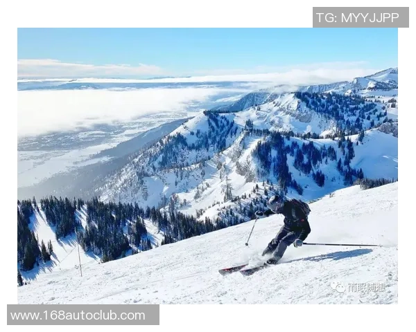 深圳羽毛球队反击之路：从困境到崛起的全景解析